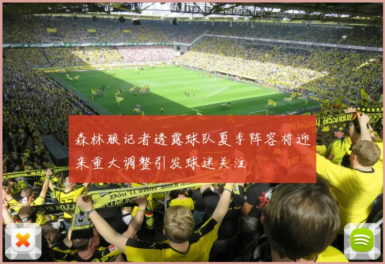 森林狼记者透露球队夏季阵容将迎来重大调整引发球迷关注